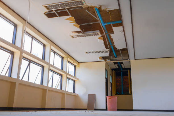Best Ceiling water damage repair  in Endicott, NY