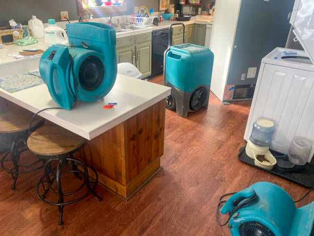 Best Flood damage cleanup  in Endicott, NY