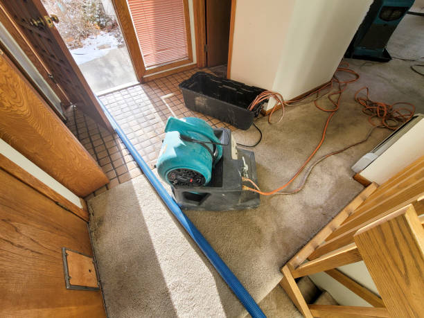 Best Water damage mitigation services  in Endicott, NY