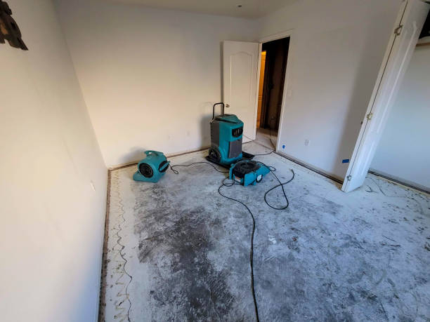 Best Local water damage restoration  in Endicott, NY
