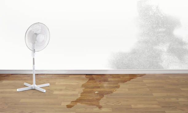 Best Commercial water damage restoration  in Endicott, NY