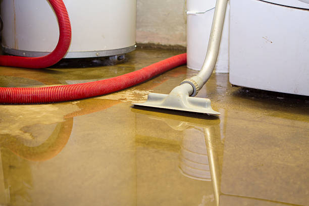 Best Mold removal after water damage  in Endicott, NY