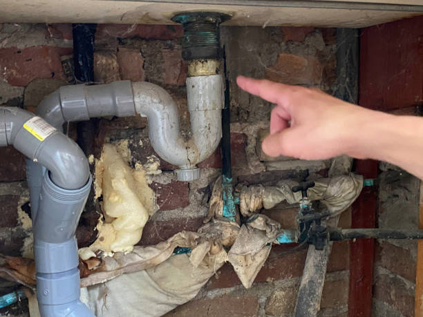 Best Fire Damage Restoration  in Endicott, NY