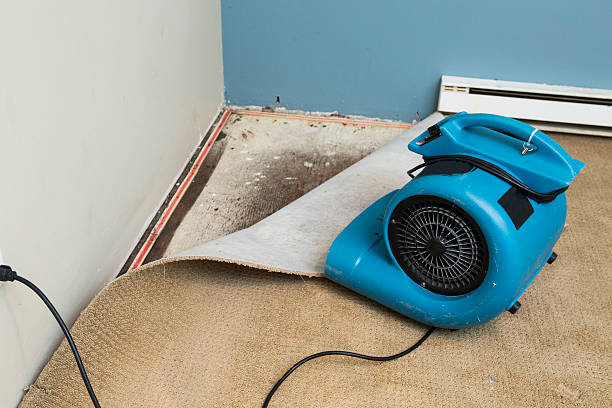 Best Water damage contractors near me  in Endicott, NY